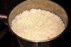 20080824_curryrice_011